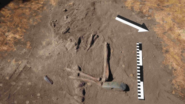 5,000-year-old grave near Wrocław, Poland, with a green serpentinite battle ax under the man's right elbow and teeth from one of the two extra skulls above it