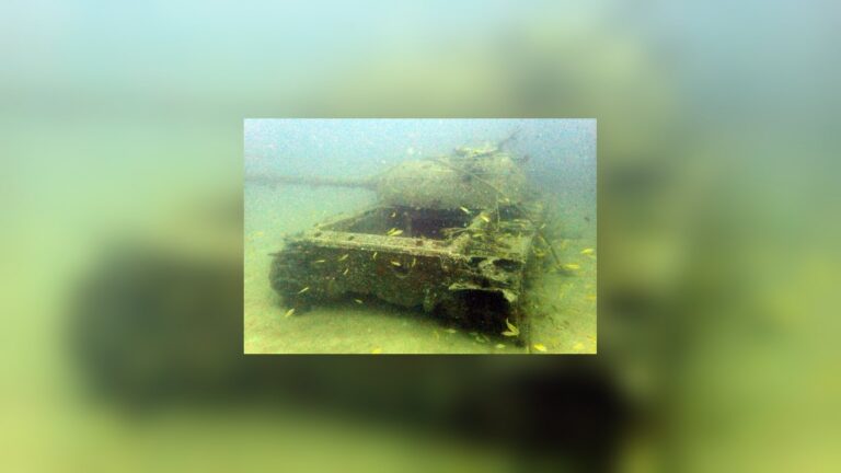 One of the retired army tanks sunk off Narathiwat, Thailand, resting on sand with small yellow fish around its hull