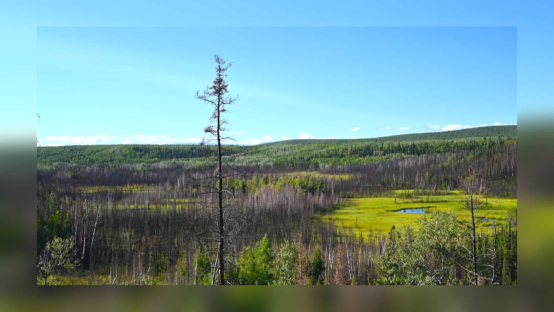 View from the Ice Age base camp of Shég' Xdaltth'í' over the Tanana Flats in interior Alaska
