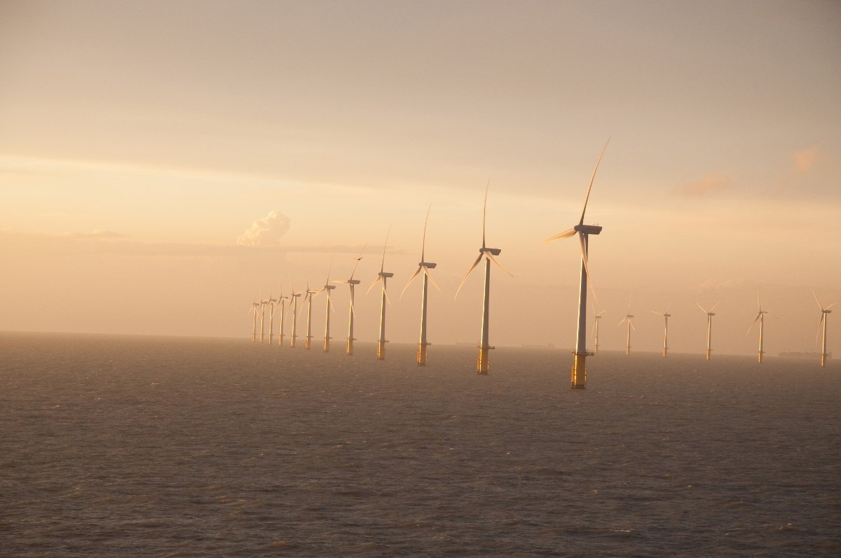 Rows of turbines at Thanet Offshore Wind Farm off the Kent coast in low sunlight