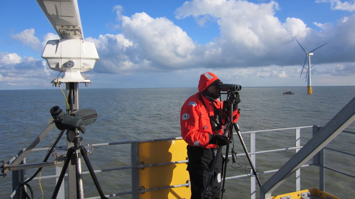 Seabird observer with a radar, telescope and rangefinder on a turbine platform at Thanet Offshore Wind Farm