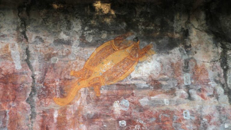 Yellow and red ochre painting of a turtle with a patterned body on a rock shelter wall at Ubirr, Kakadu National Park, Northern Territory