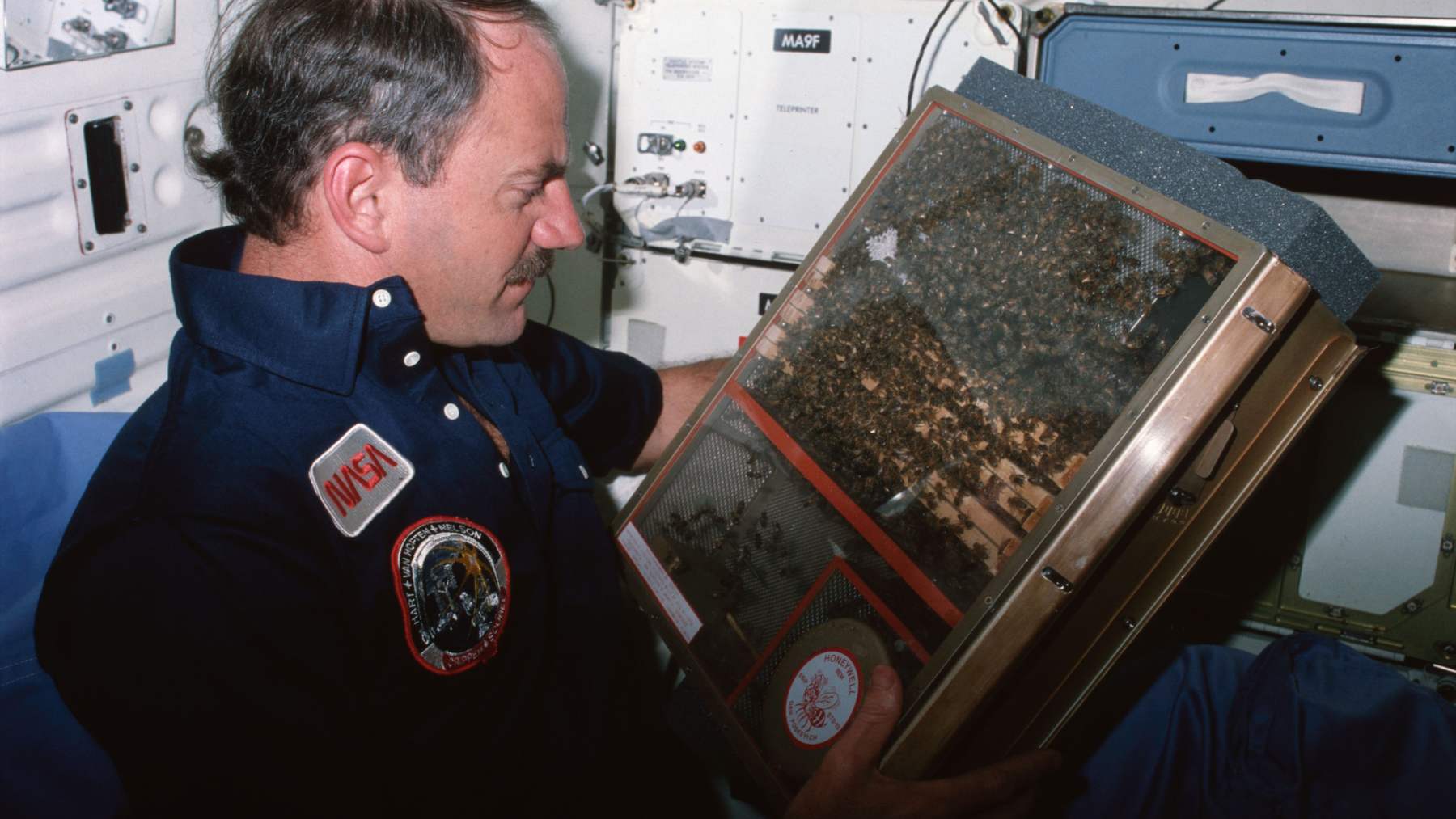 Astronaut James van Hoften holds the bee enclosure module full of honeybees aboard the space shuttle Challenger