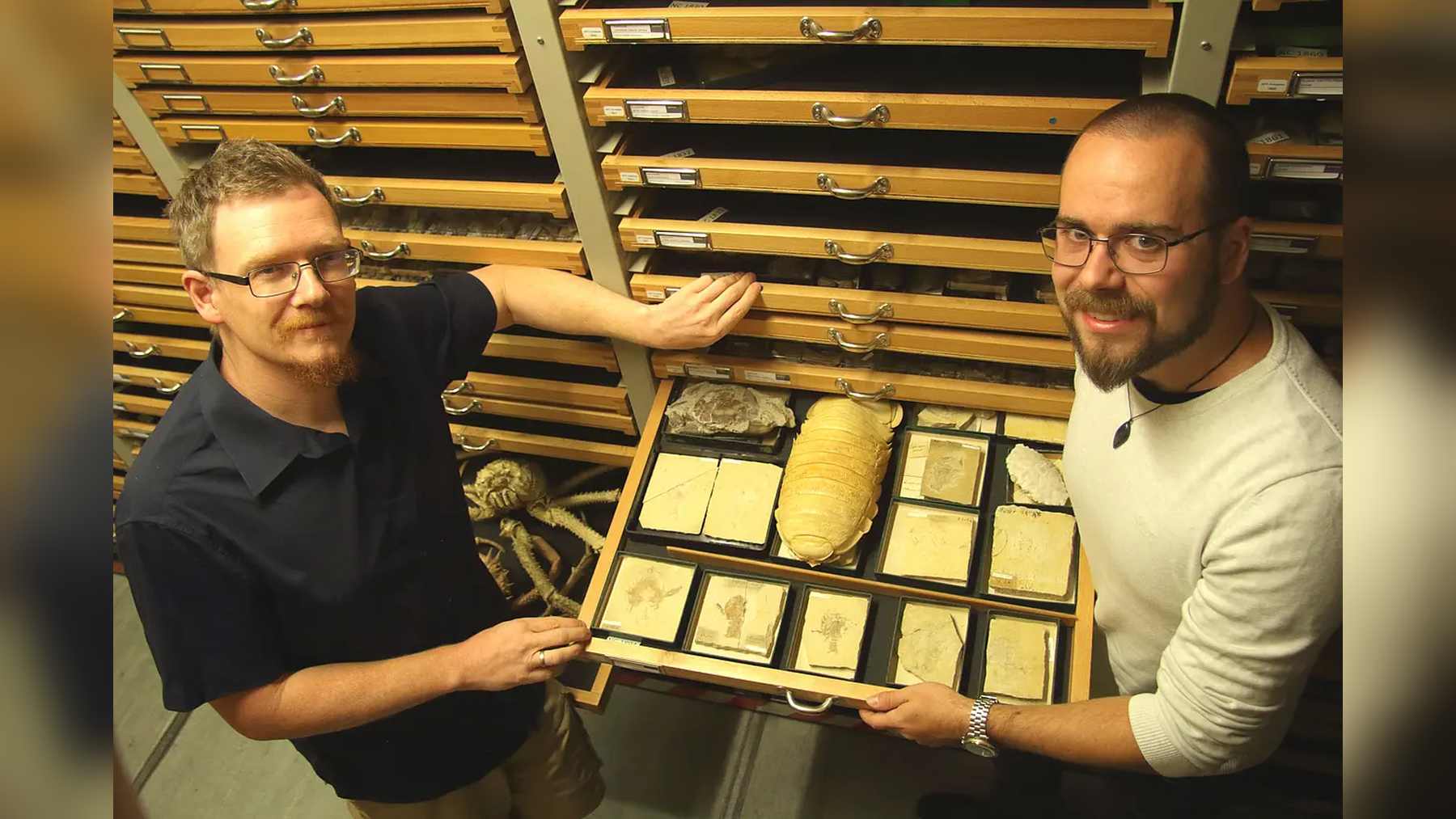 Ingmar Werneburg and Benedikt Kästle hold open a collection drawer with the new giant isopod species Bathynomus tuebingoborikensis among fossil crabs