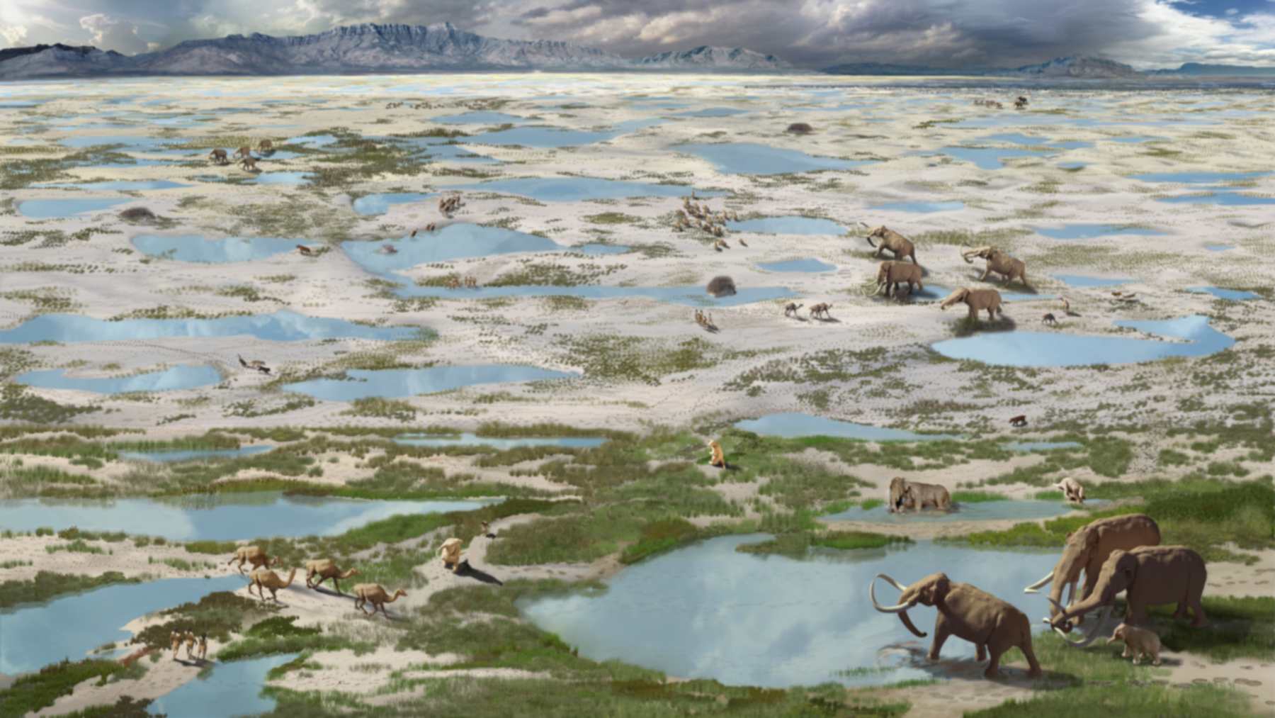 Artist's rendition of White Sands National Park during the last ice age, with mammoths, camels and shallow pools on the shrinking Lake Otero playa in New Mexico