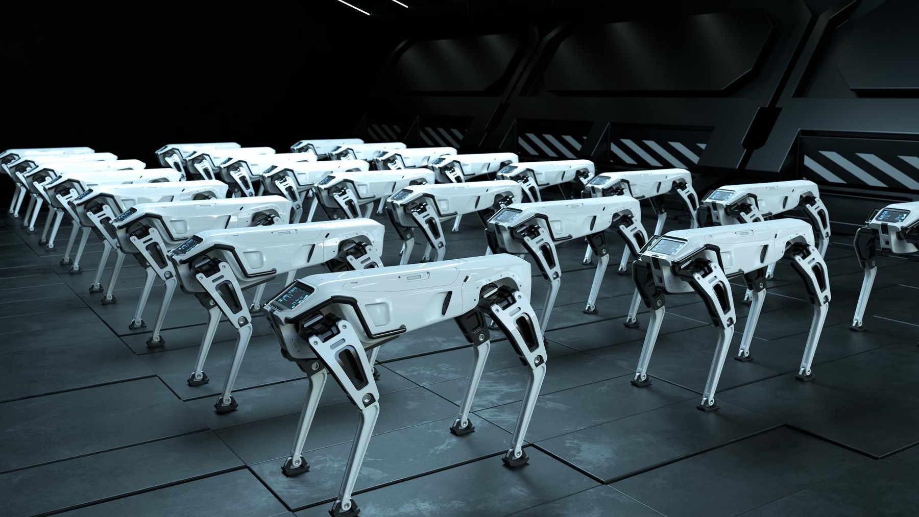 Boston Dynamics y sus perros pastores robot