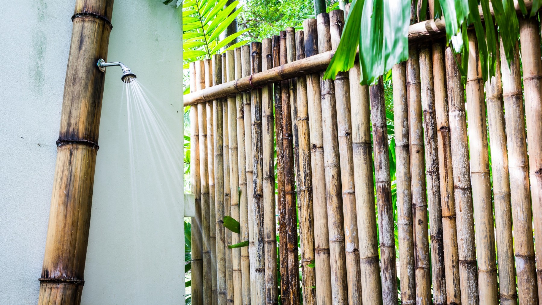 caña de azúcar en construcción