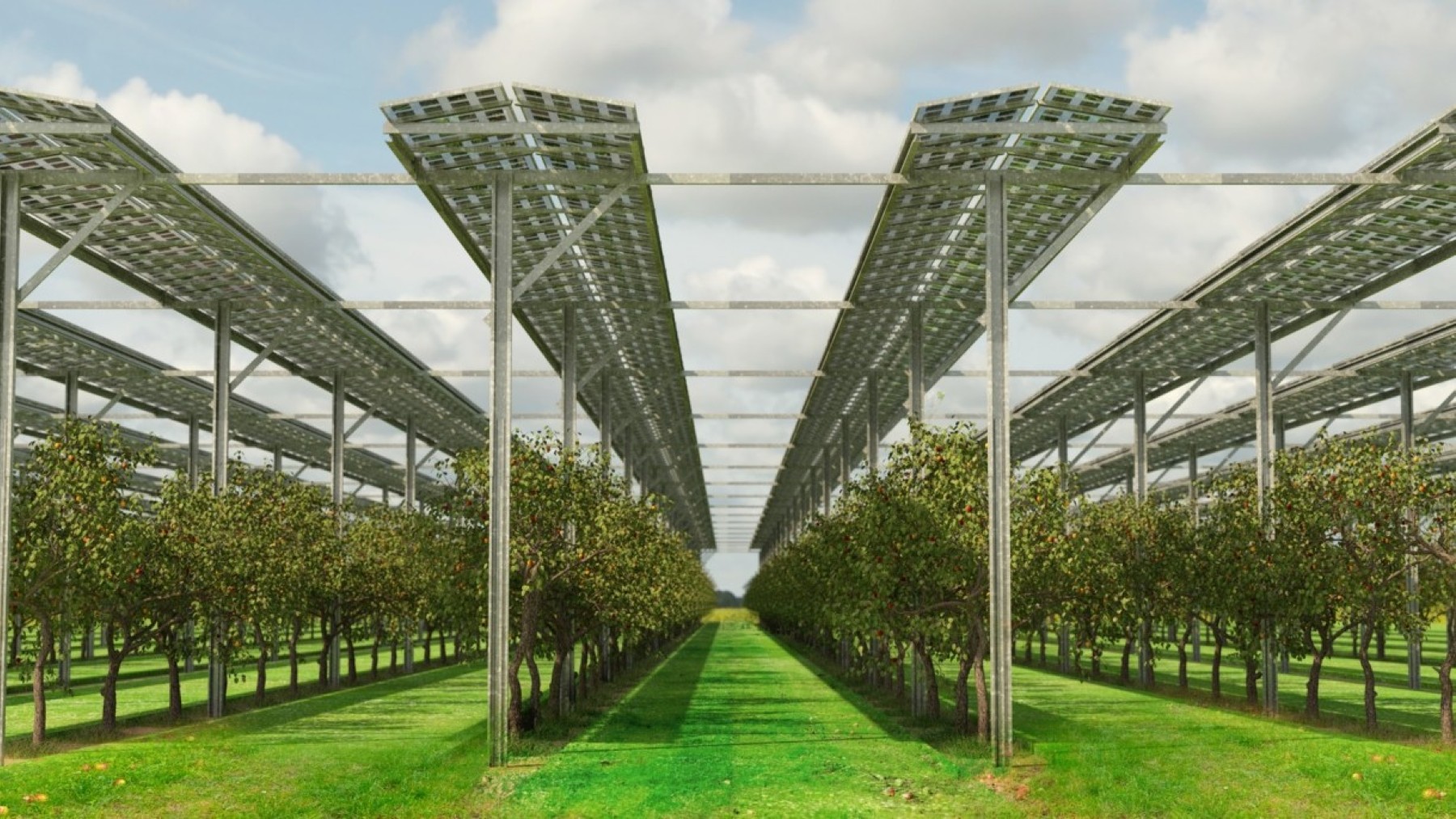 paneles solares, agrivoltaica