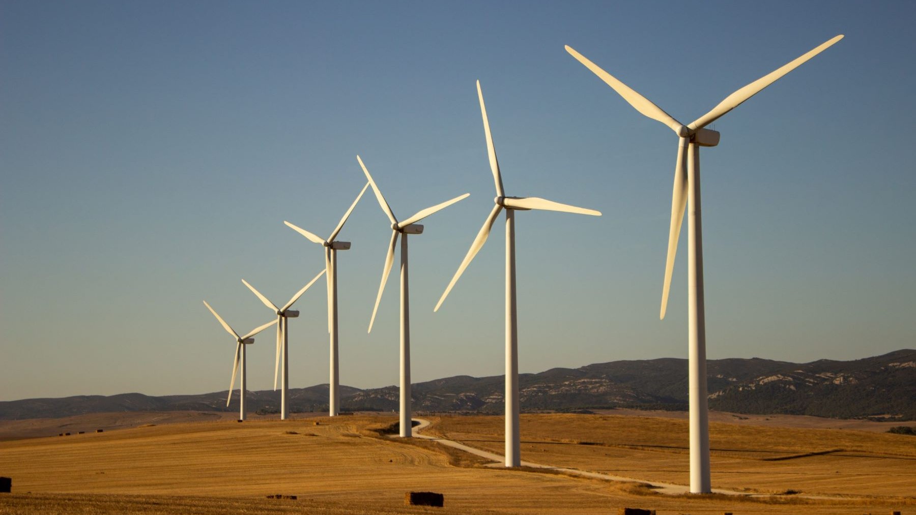 frena la energia eolica