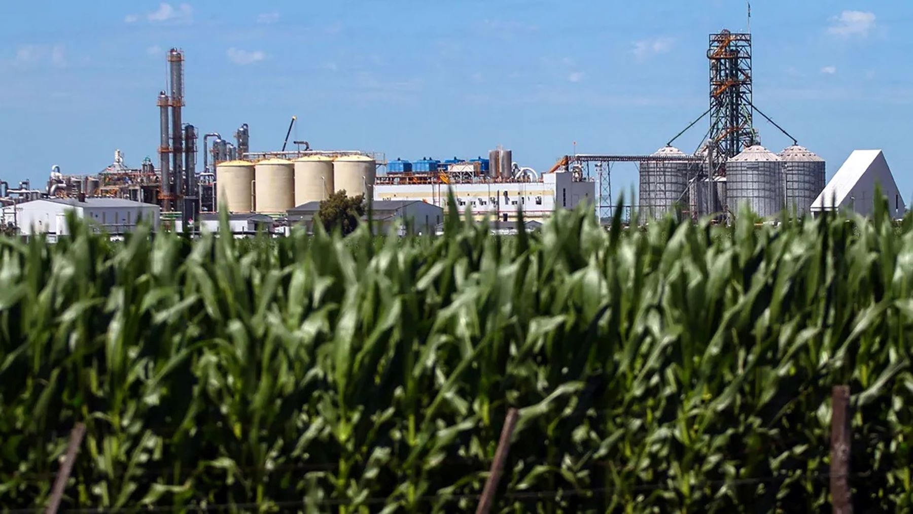 estados unidos combustible etanol