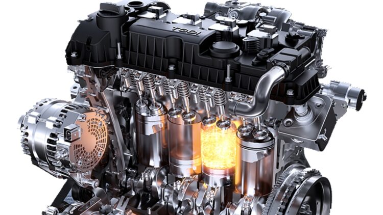 Motor