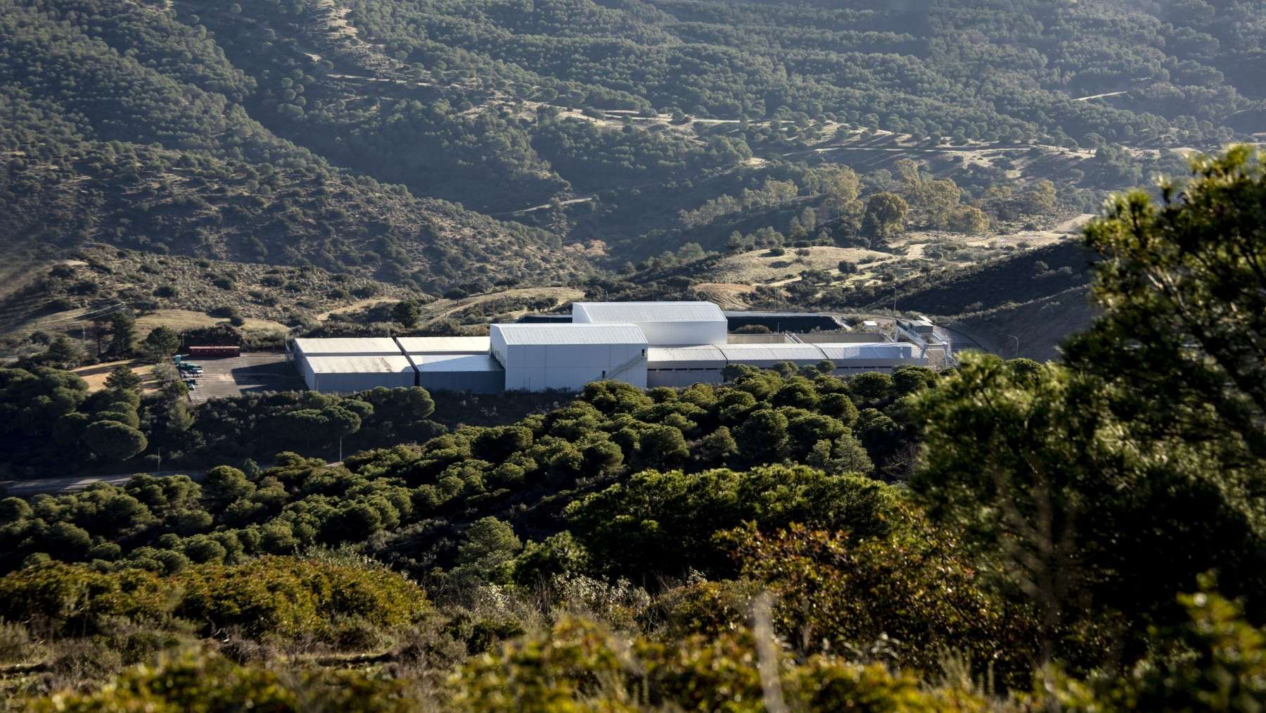 Hanna schmidt of leaked as soon as got the approval went to