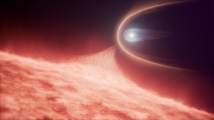 cosmos