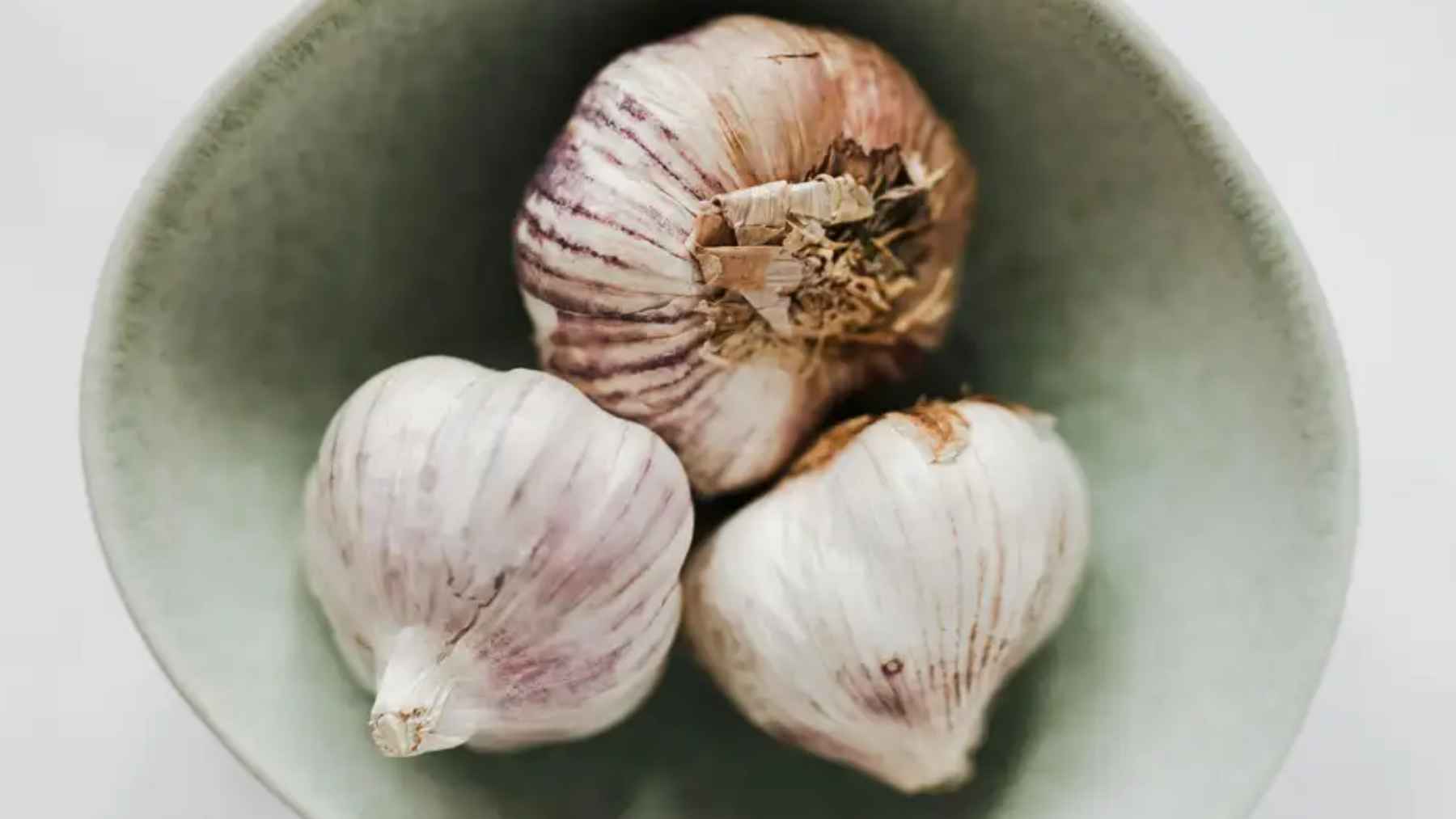 Tres cabezas de ajo en un cuenco, fuente de compuestos sulfurados estudiados por el CSIC por su efecto en el envejecimiento.