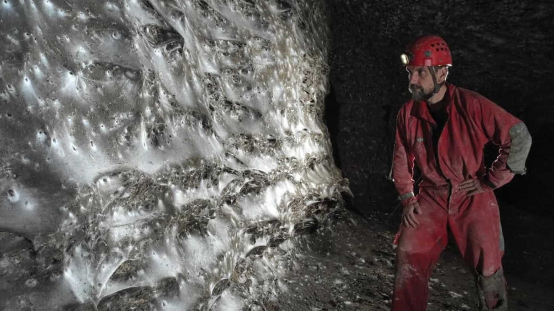 Biología subterránea