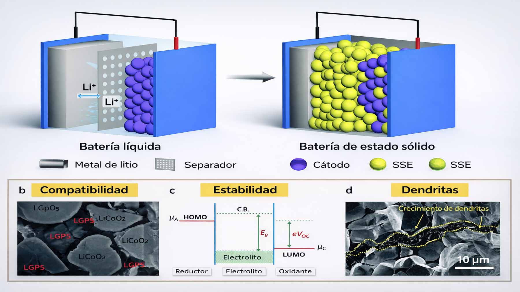 Batería de estado sólido con recubrimiento que refuerza el litio y reduce el riesgo de explosiones