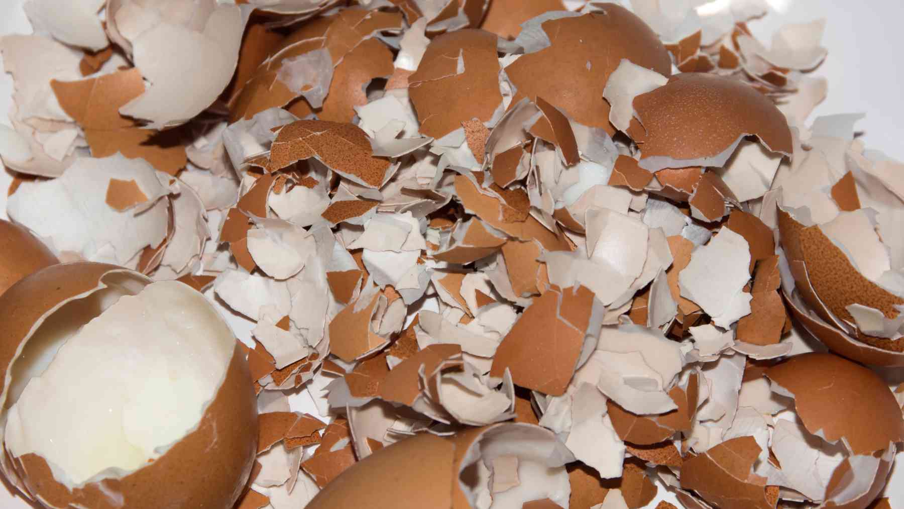 Adiós a tirar la comida en España: la nueva regla contra el desperdicio ya está escrita en el BOE y está provocando una carrera por “salvar” alimentos antes de que caduquen