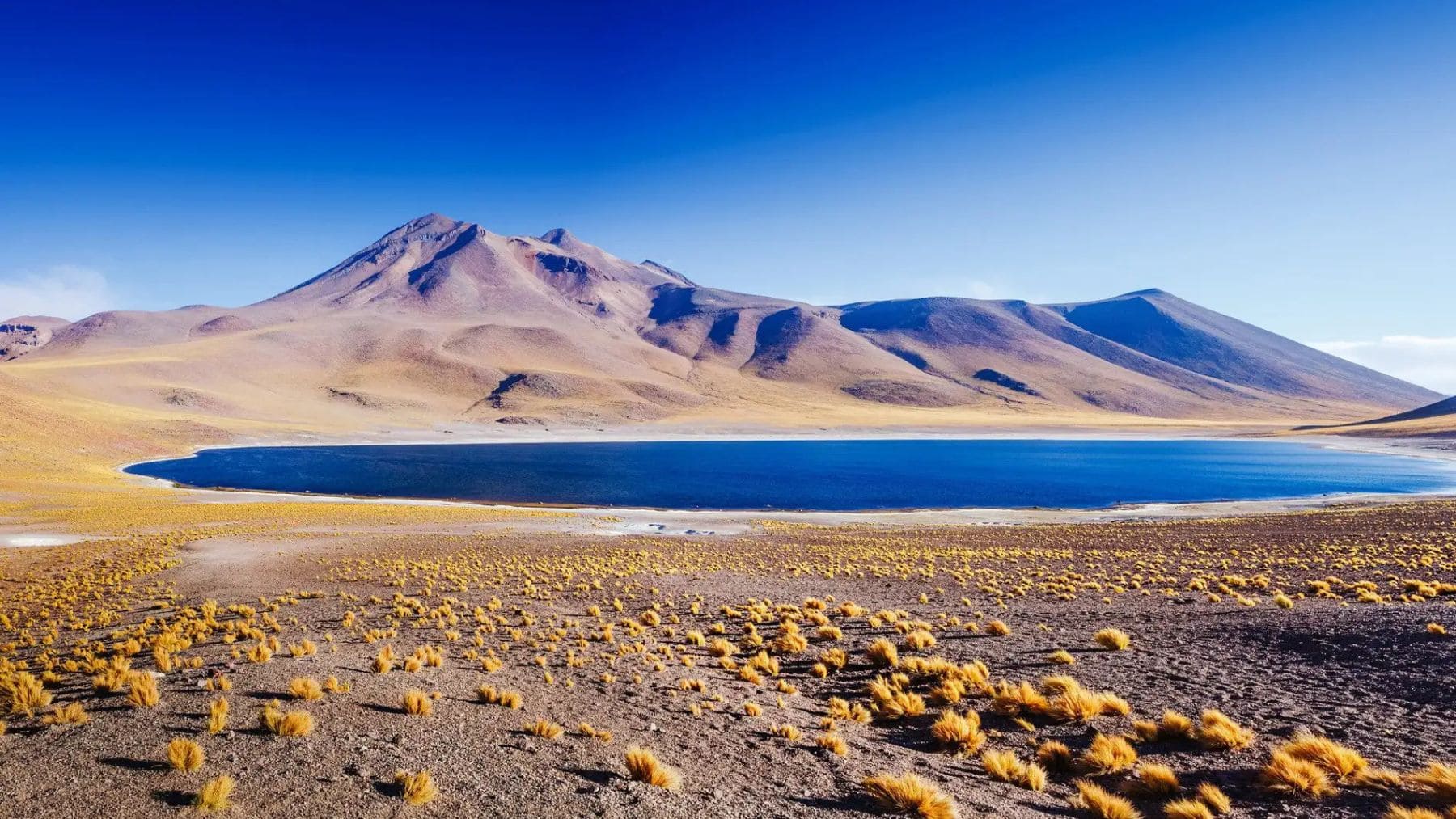 Valle de Yungay en el desierto de Atacama, donde científicos hallaron una comunidad microbiana bajo el subsuelo