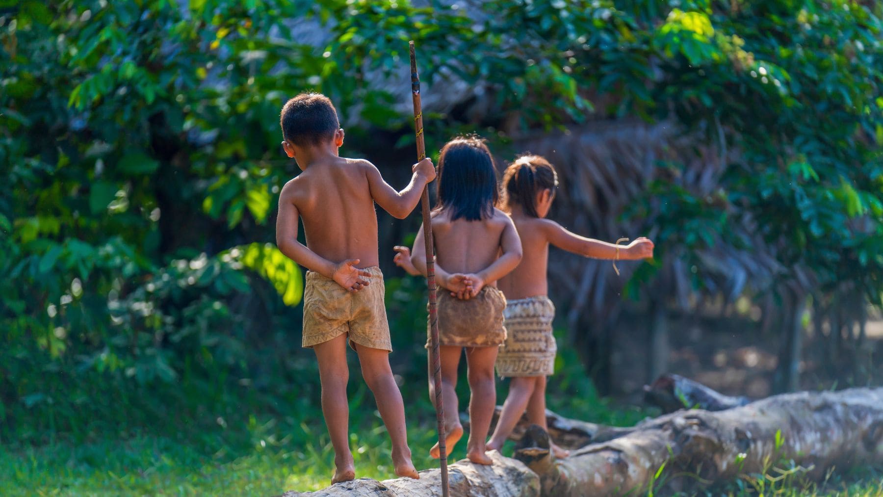 Tres niños indígenas caminando sobre un tronco en la Amazonia brasileña, representando la juventud y el futuro de las comunidades que se benefician de los nuevos materiales educativos de UNESCO.