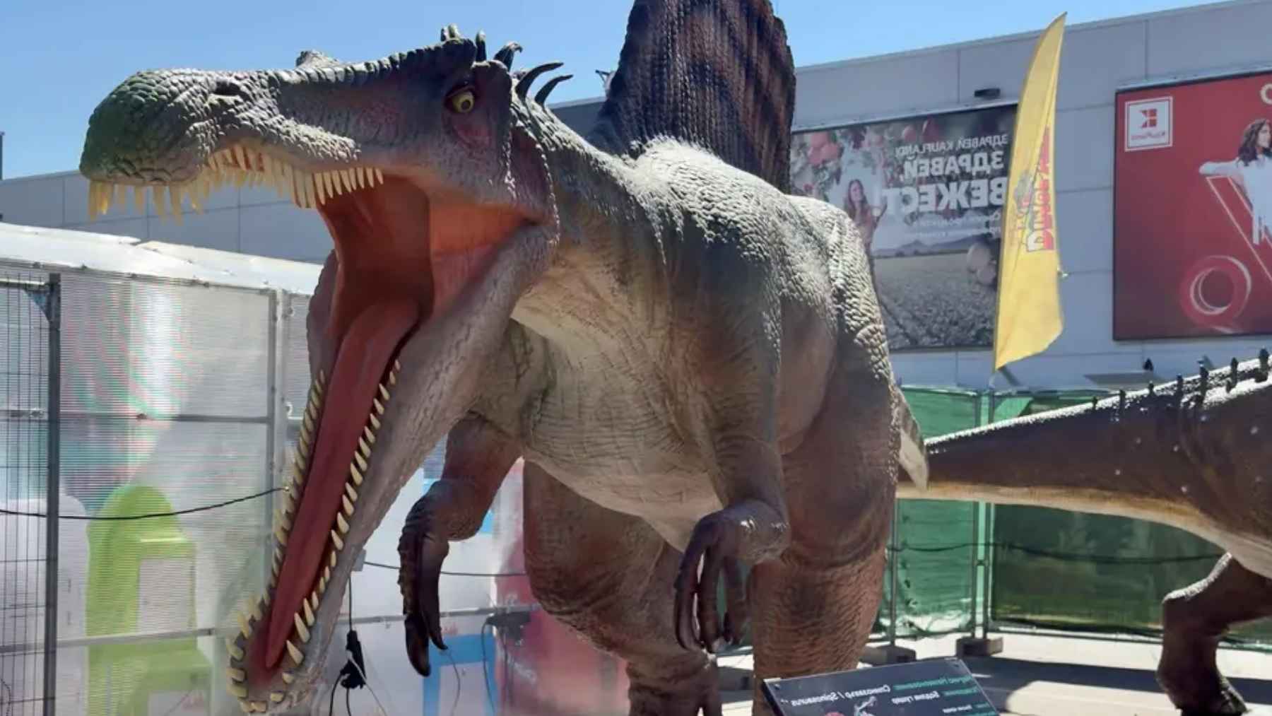 Espinosaurio animatrónico a tamaño real en la exposición de dinosaurios del aparcamiento de Kaufland en Sofía