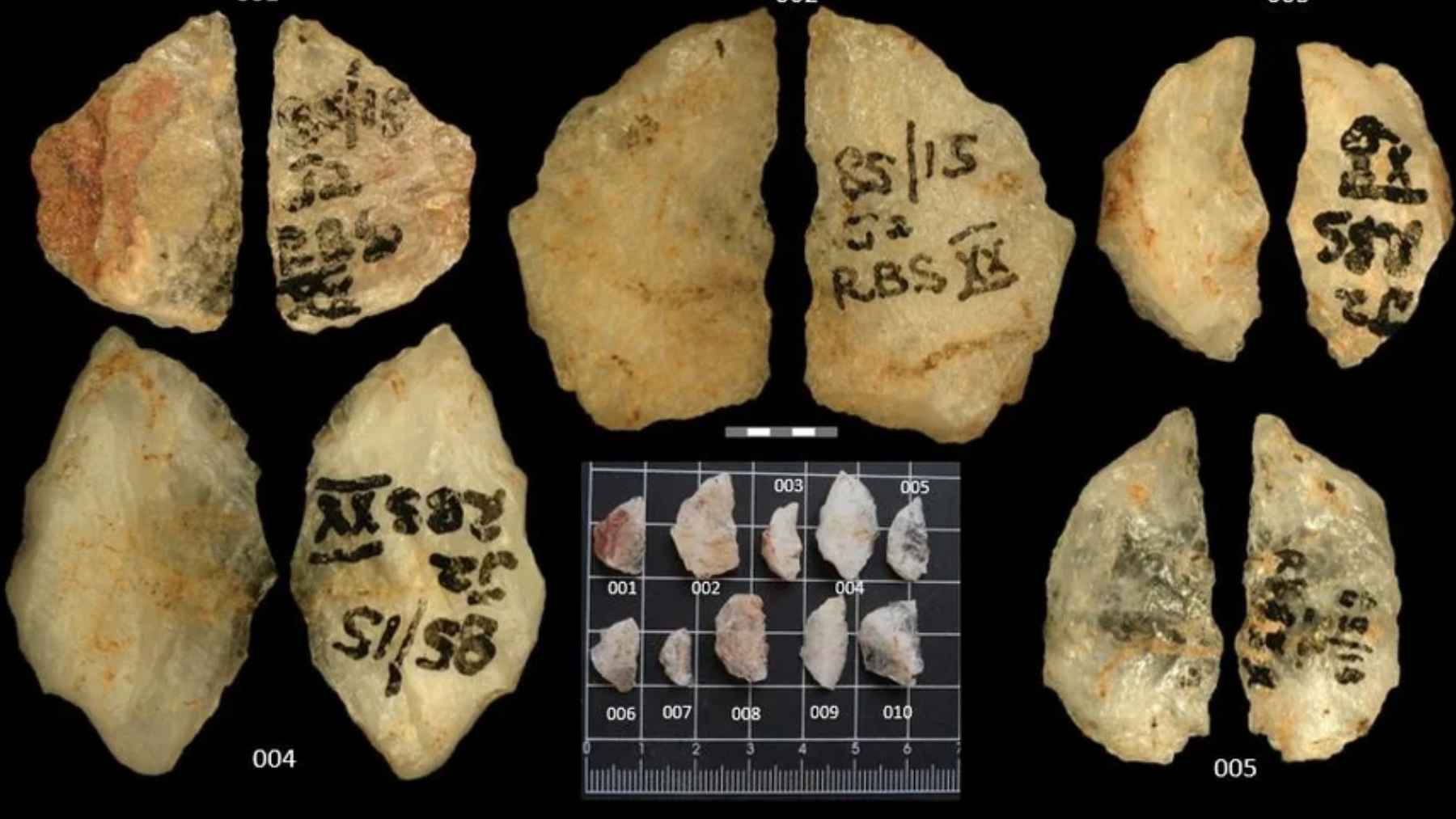 Puntas de flecha de cuarzo de 60.000 años con residuos de veneno vegetal halladas en Umhlatuzana, Sudáfrica