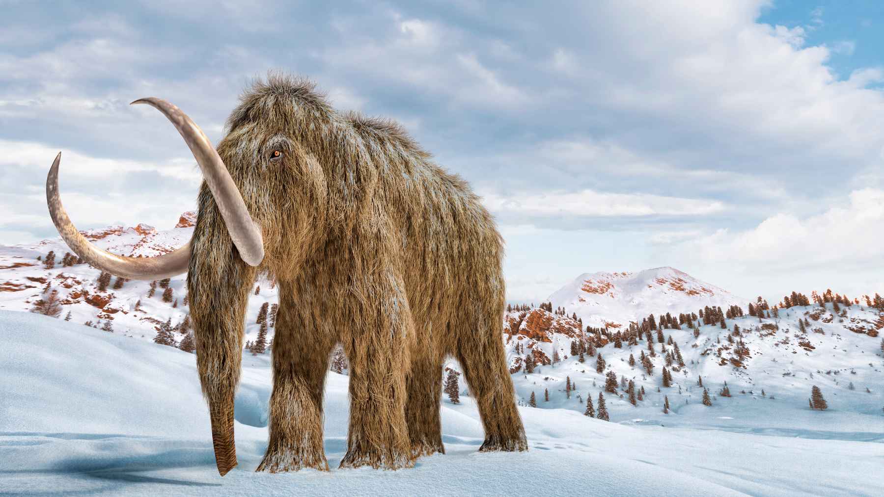 Ilustración de un mamut lanudo en un paisaje nevado de Alaska