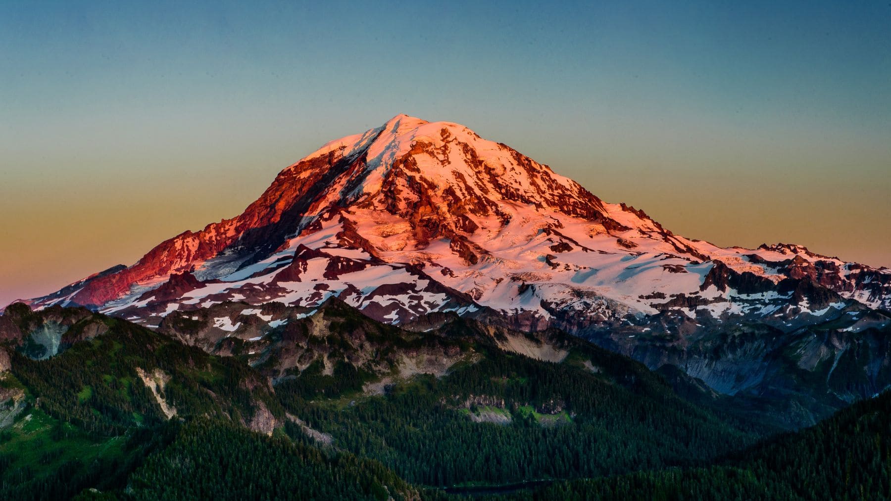 Monte Rainier durante el amanecer con nieve y bosques en la base