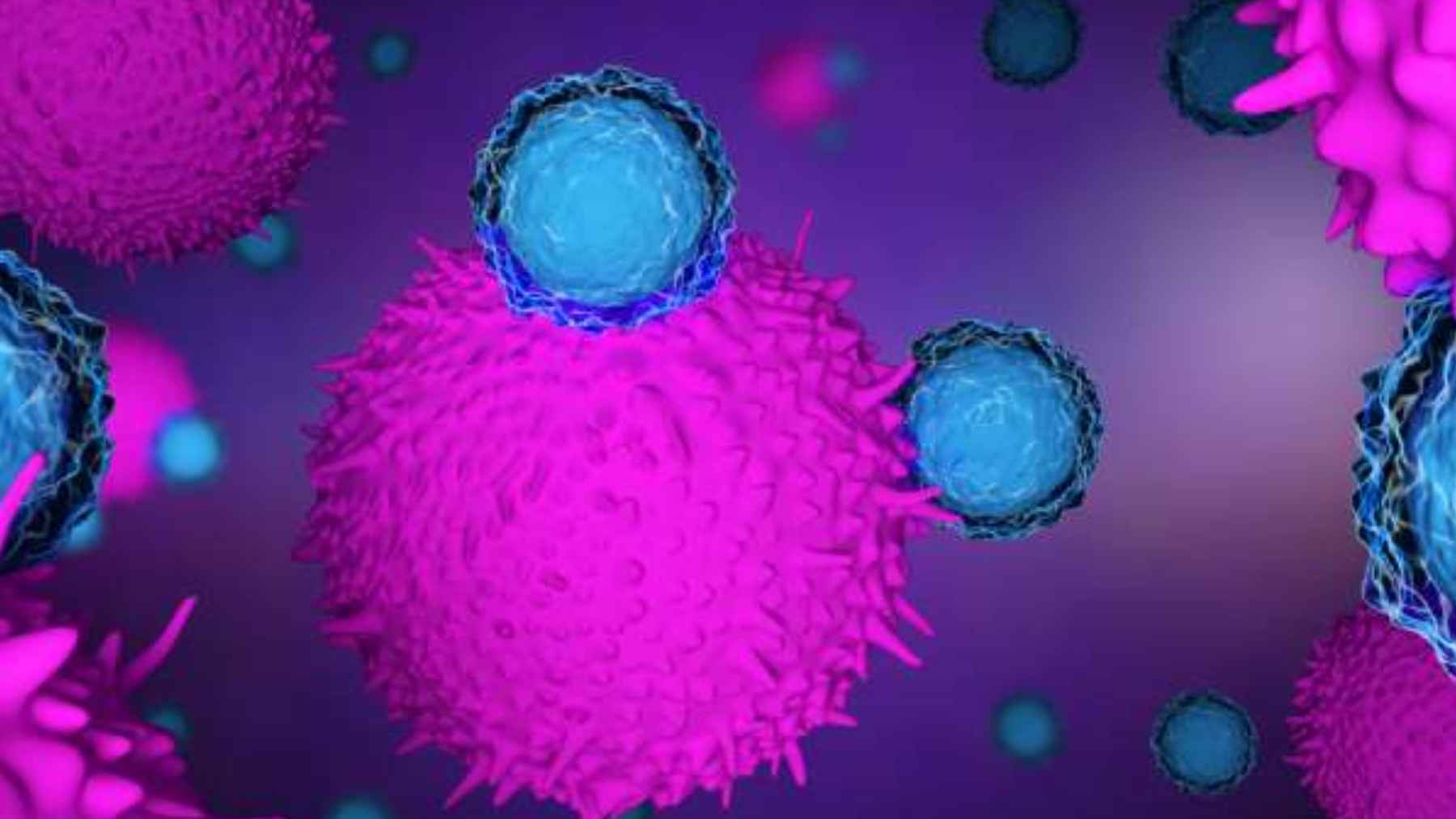 Ilustración 3D de células inmunitarias frente a células tumorales, clave en una vacuna terapéutica contra KRAS
