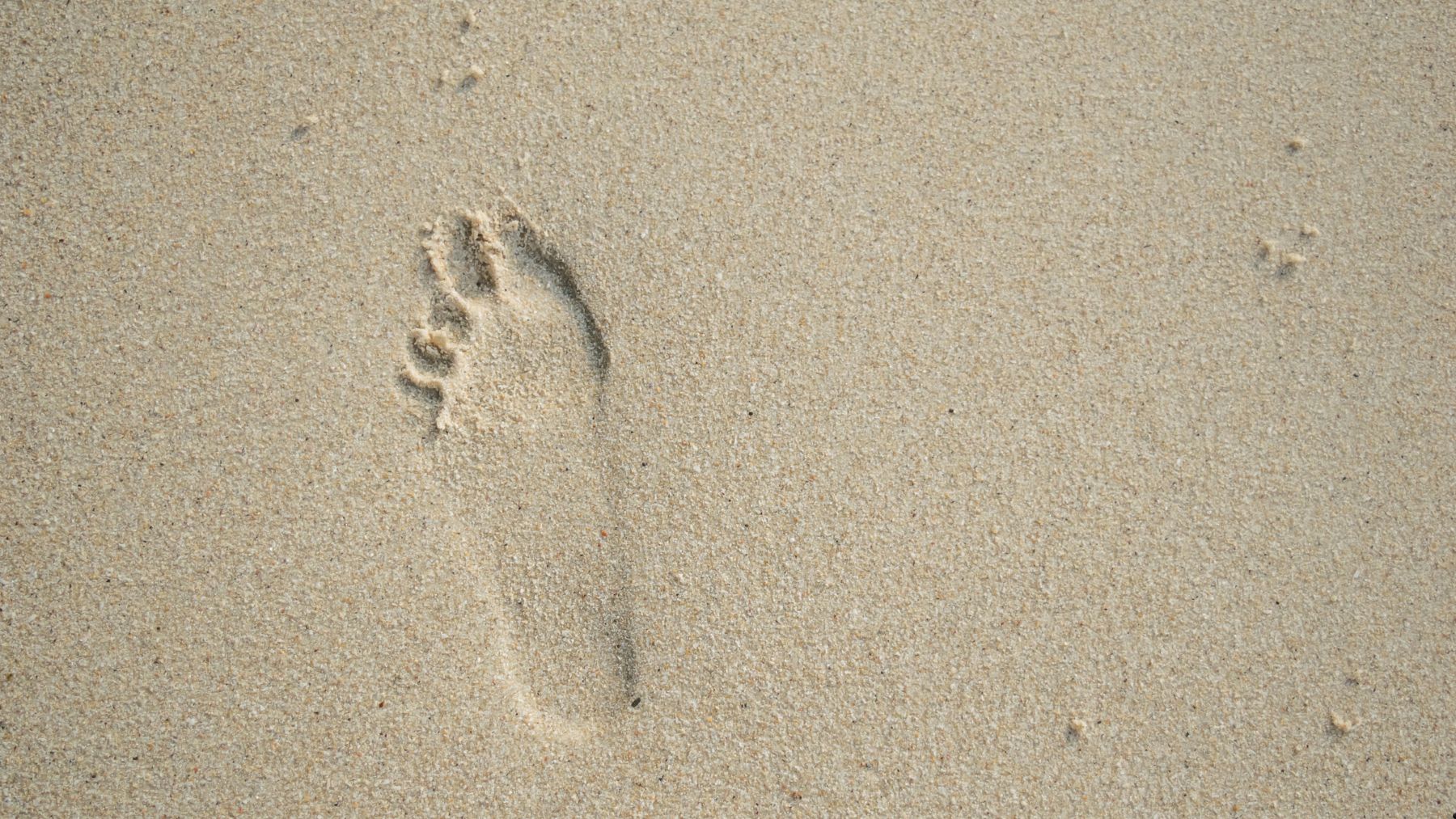 Huella en la arena de una playa como símbolo del rastro de ADN humano en el medio ambiente.