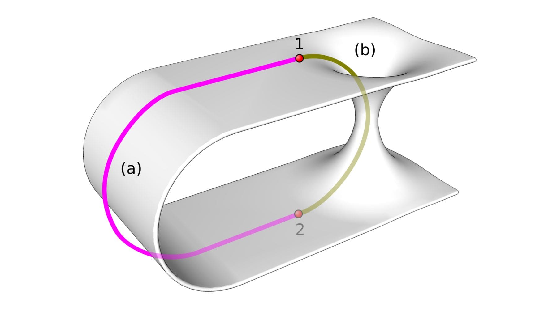 Modelo del puente de Einstein-Rosen que conecta dos regiones del espacio-tiempo con flechas del tiempo opuestas.