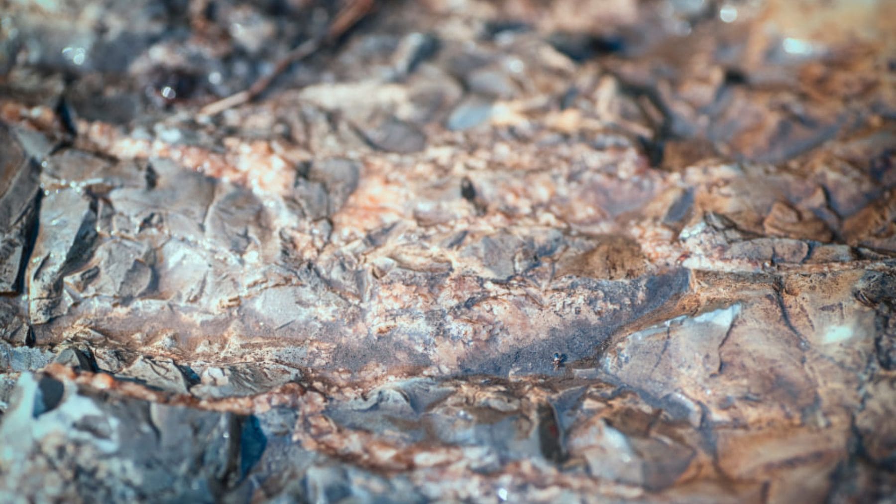 Detalle de veta de antimonio en roca de Victoria, Australia, mineral crítico para baterías y energía limpia.