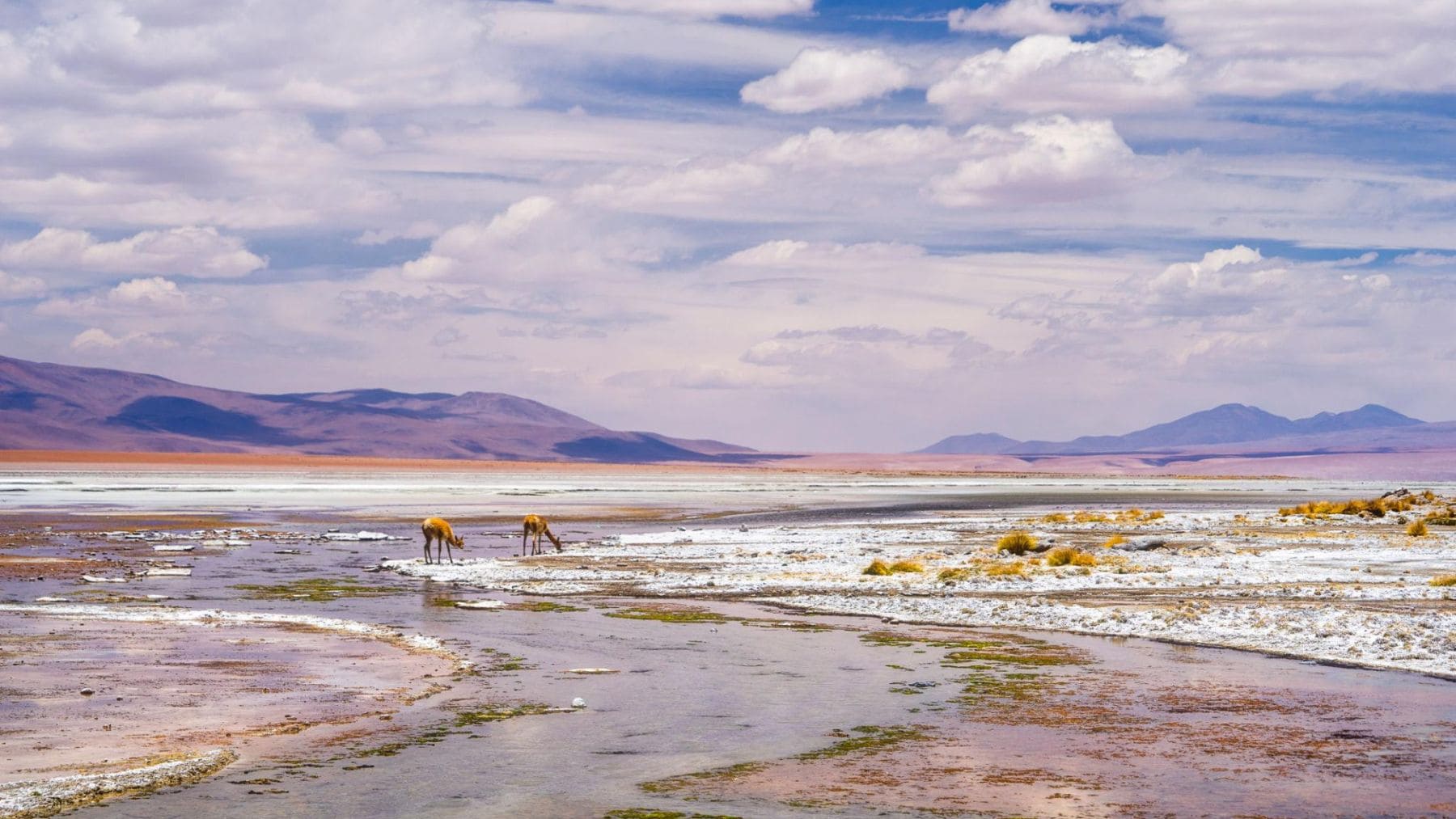 Salar del altiplano de Bolivia, zona clave del nuevo acuerdo internacional para la extracción de litio.