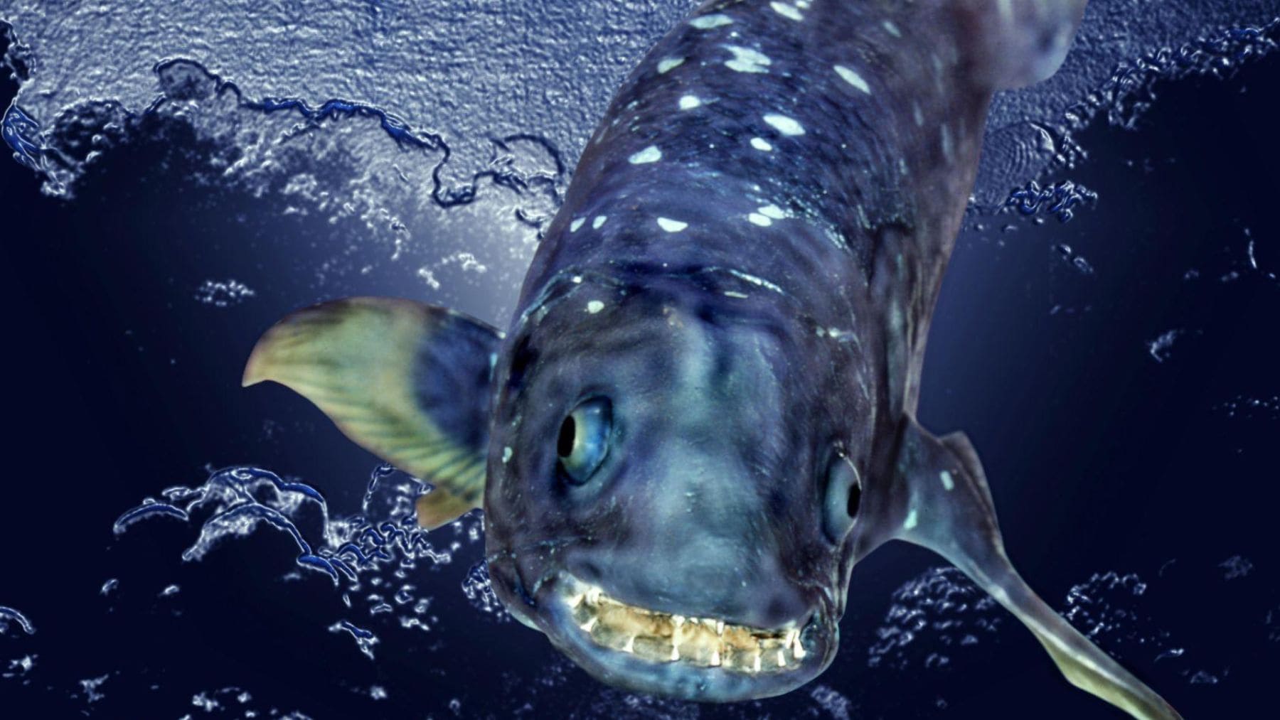 Debe describir la imagen con precisión visual + keyword, sin adornos.