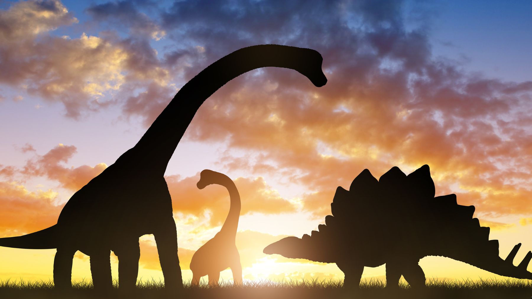 Siluetas de dinosaurios al atardecer ilustrando el nuevo estudio sobre el crecimiento real del T. rex.