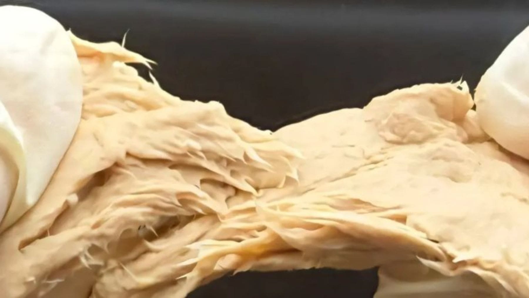 Micoproteína de hongo editado genéticamente en China con textura fibrosa y sabor similar a la carne.