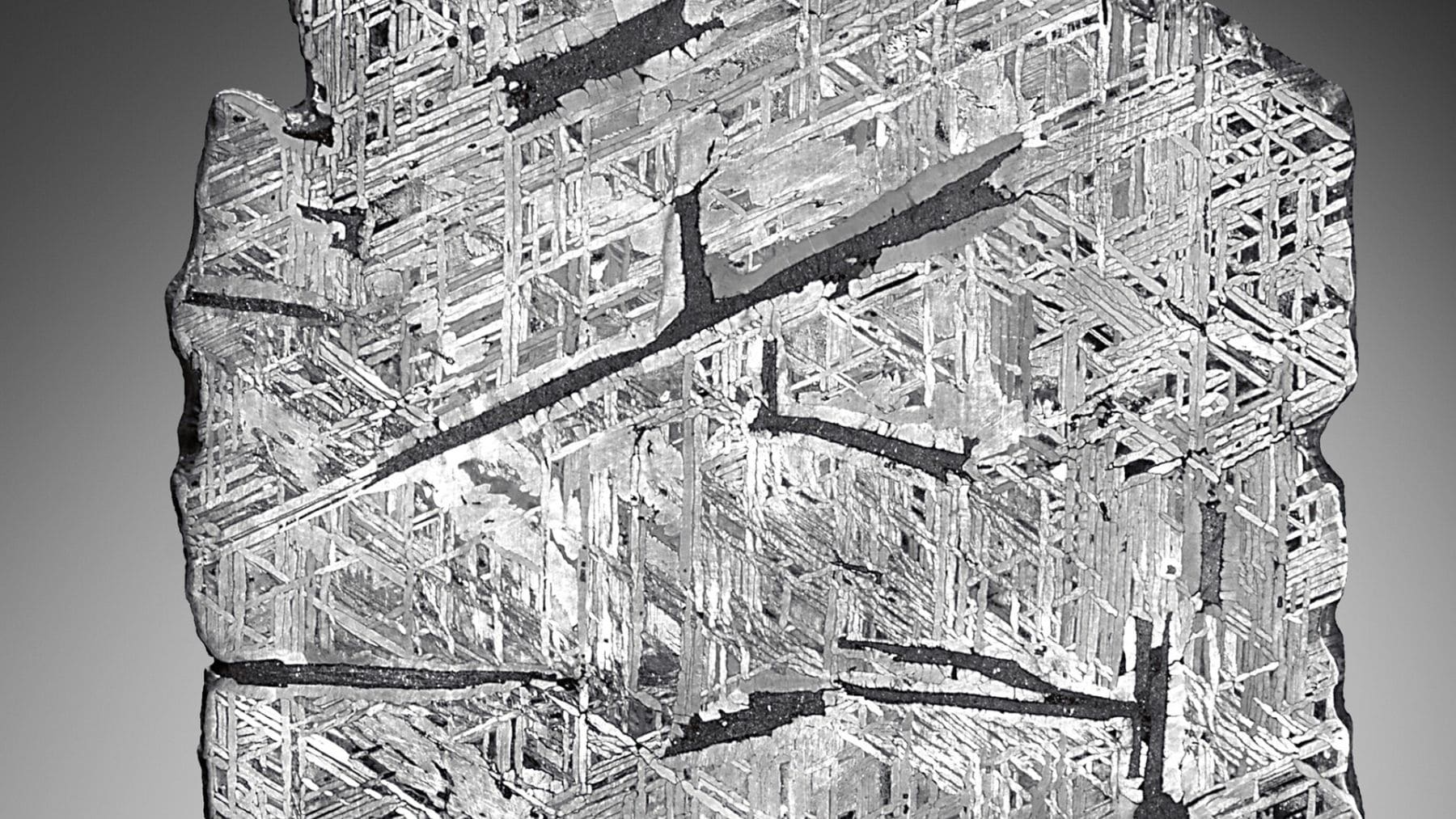 Sección pulida del meteorito Aletai con patrón cristalino tras su incautación en Rusia.