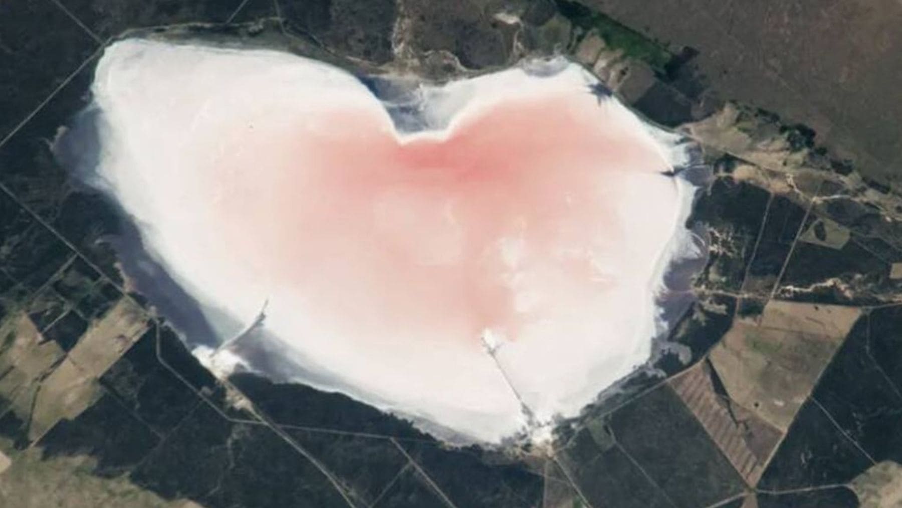 👉 Lago rosa con forma de corazón en Argentina visto desde la Estación Espacial Internacional por la NASA.