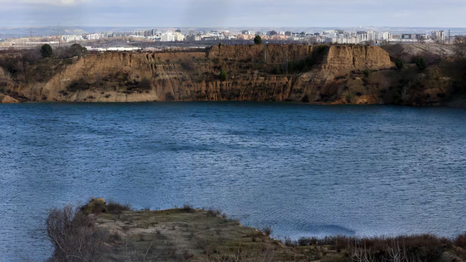 Humedal de las Lagunas de Ambroz en Madrid con aves y vegetación en zona urbana amenazada por urbanización.