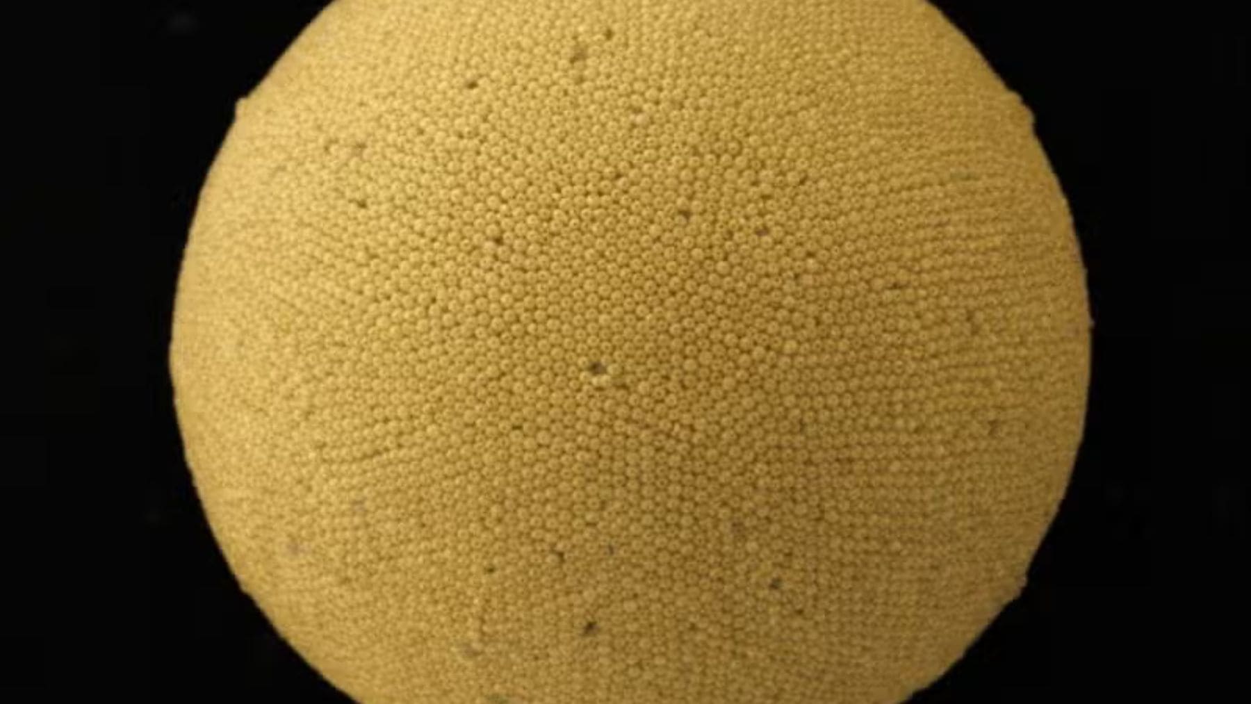 Perlas de oro a escala nanométrica formando estructuras plasmonic supraballs que absorben energía solar.