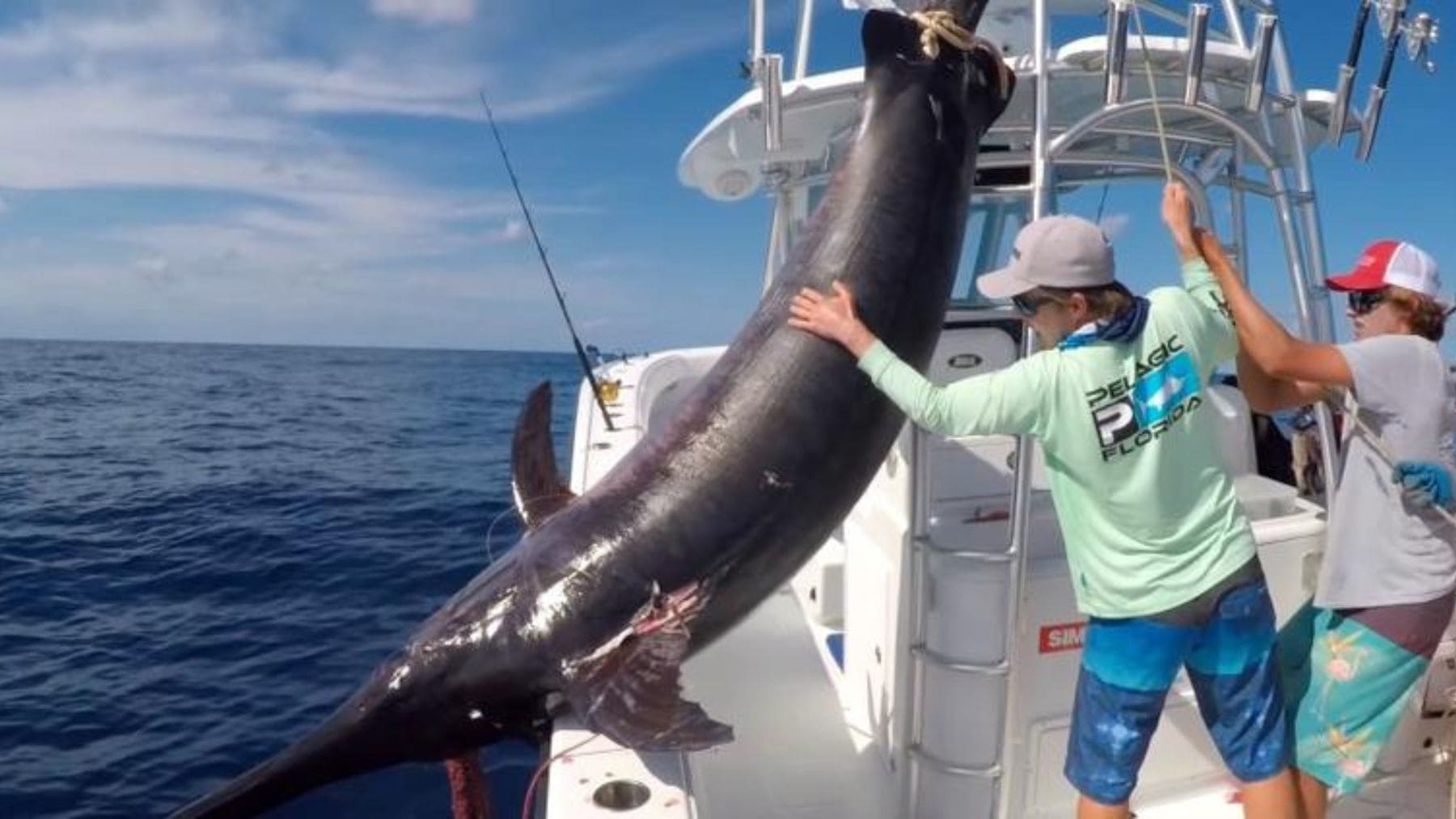 Pez espada gigante de más de 400 kg capturado por un padre y su hijo en la Polinesia Francesa.
