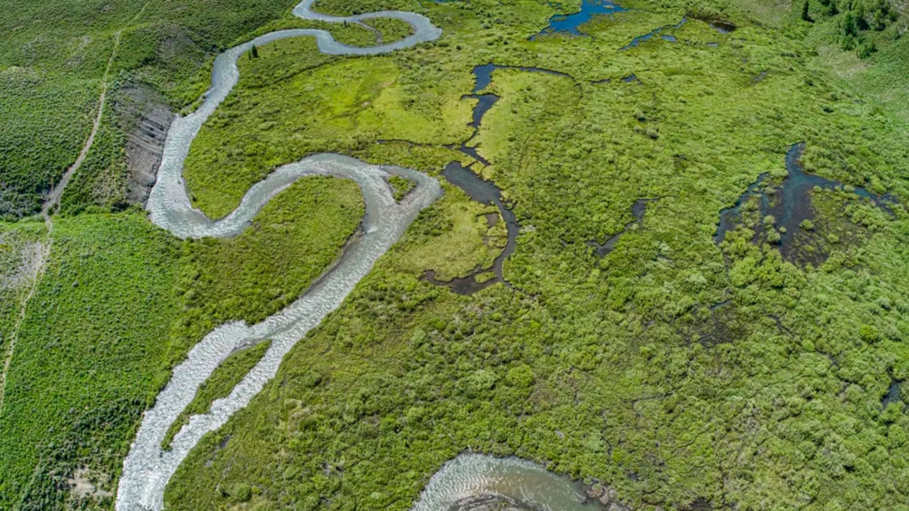 Río East River en Colorado con vegetación de montaña que consume agua subterránea durante la sequía.