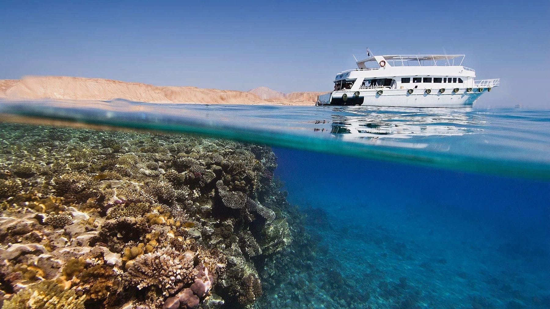 Arrecifes de coral en el Mar Rojo junto a la zona donde Arabia Saudí y Egipto planean construir un puente.