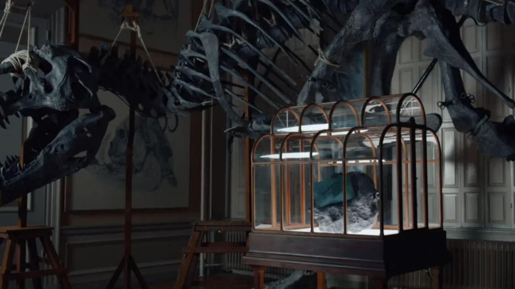 Bolso de lujo fabricado con colágeno inspirado en T-Rex presentado en Ámsterdam.