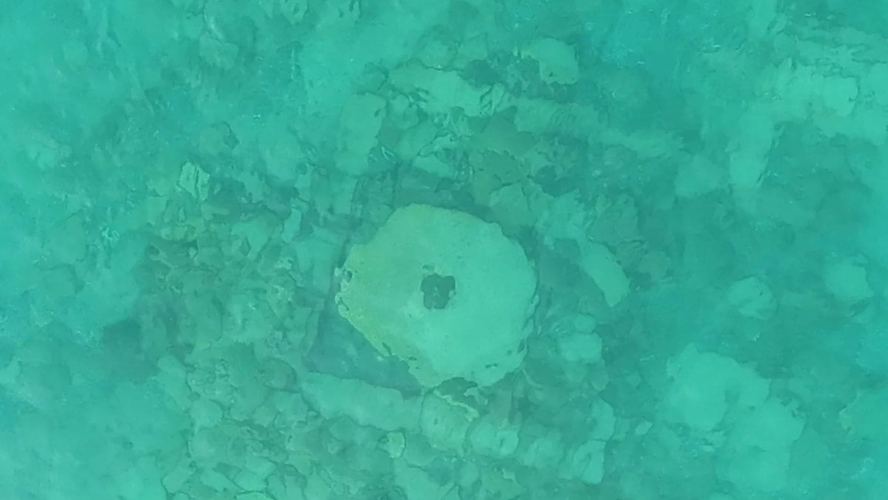 Ruinas de una ciudad medieval sumergida bajo el lago Issyk Kul en Kirguistán vistas desde arriba.