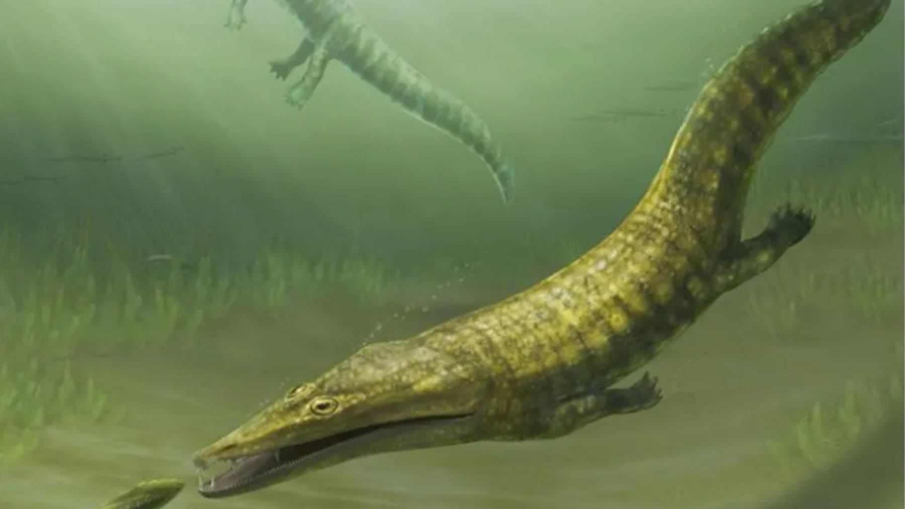 Recreación de depredadores marinos del Triásico temprano cazando tras la extinción masiva del Pérmico.