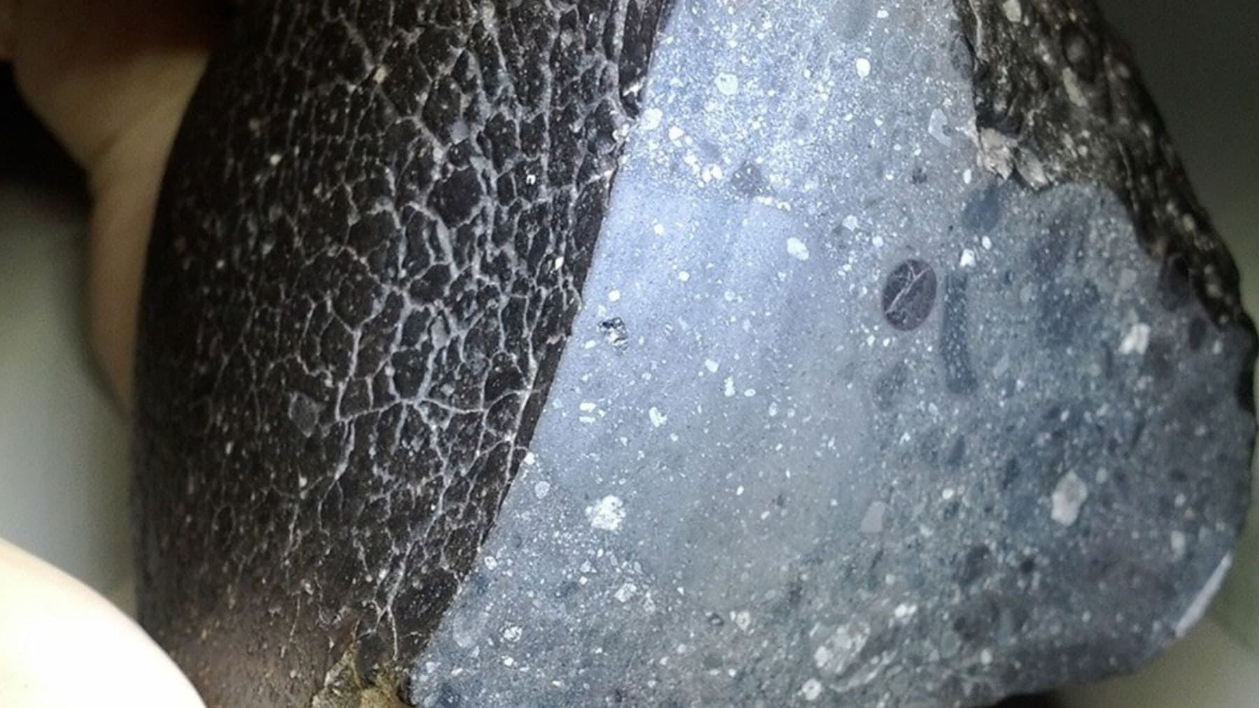 Meteorito marciano NWA 7034 Black Beauty con corte interno que muestra su composición rica en agua.