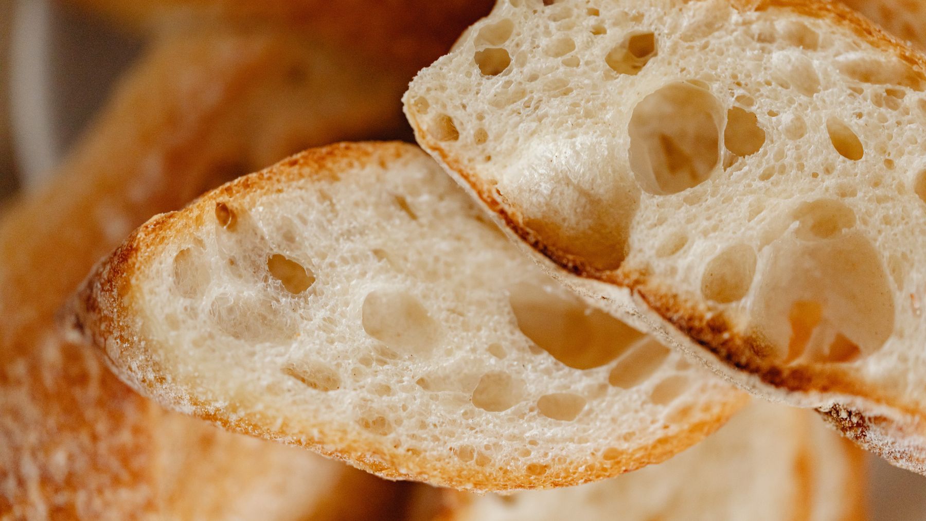 pan desechado utilizado para producir hidrógeno con bacterias en un experimento científico.