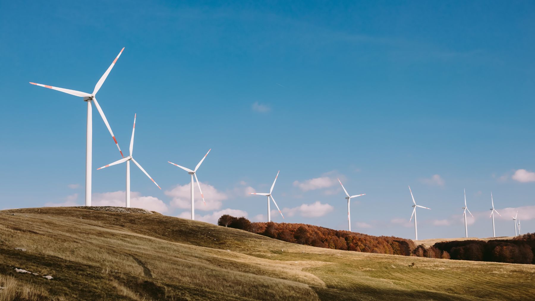 Parque eólico con aerogeneradores en funcionamiento representando el proyecto Hornsea 3 y su conexión energética