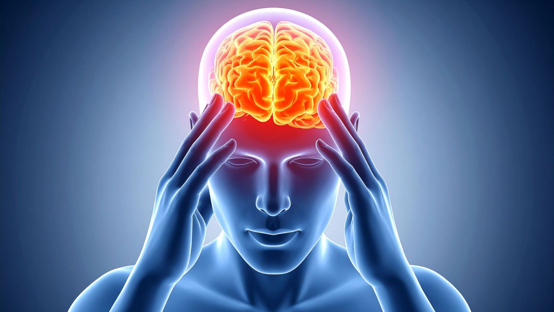 Ilustración del cerebro humano mostrando el envejecimiento cerebral y el impacto de la proteína FTL1 en la memoria.