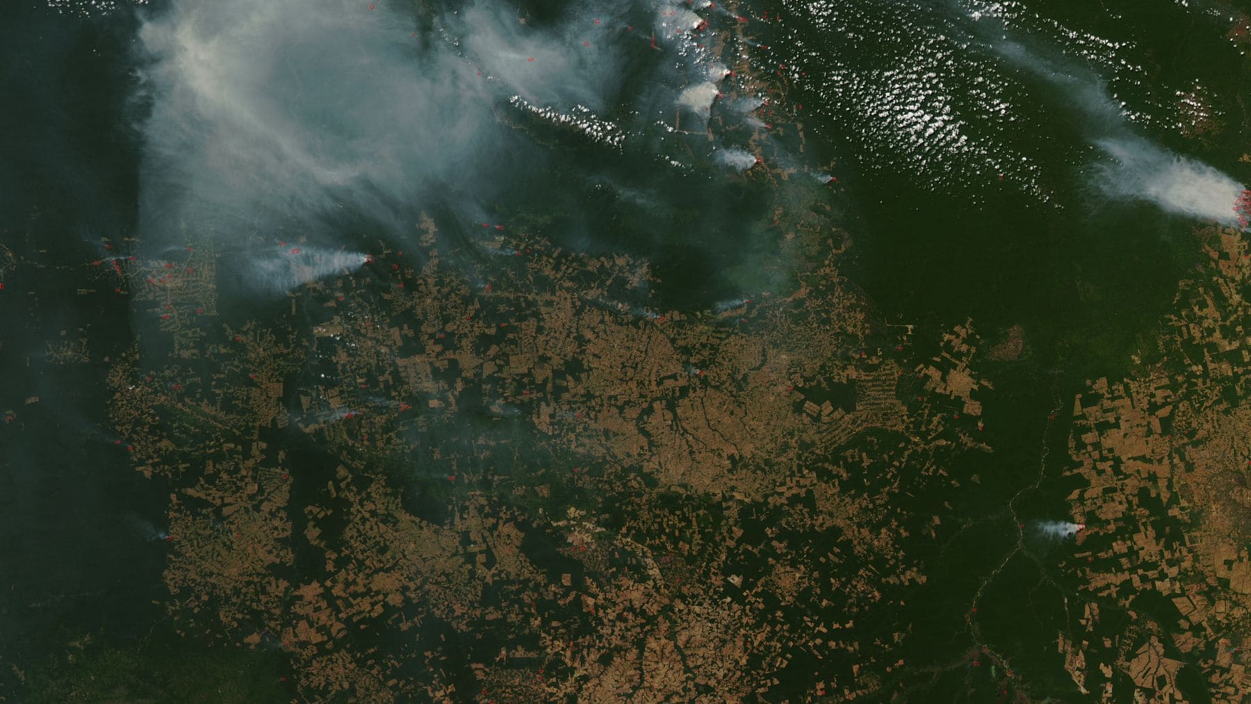 Imagen satelital de incendios y deforestación en la Amazonia con grandes columnas de humo sobre la selva.